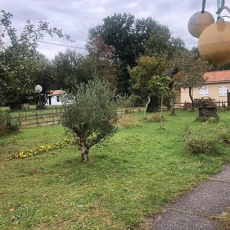Petite Maison Rustique Et Atypique Hourtin Esterno foto