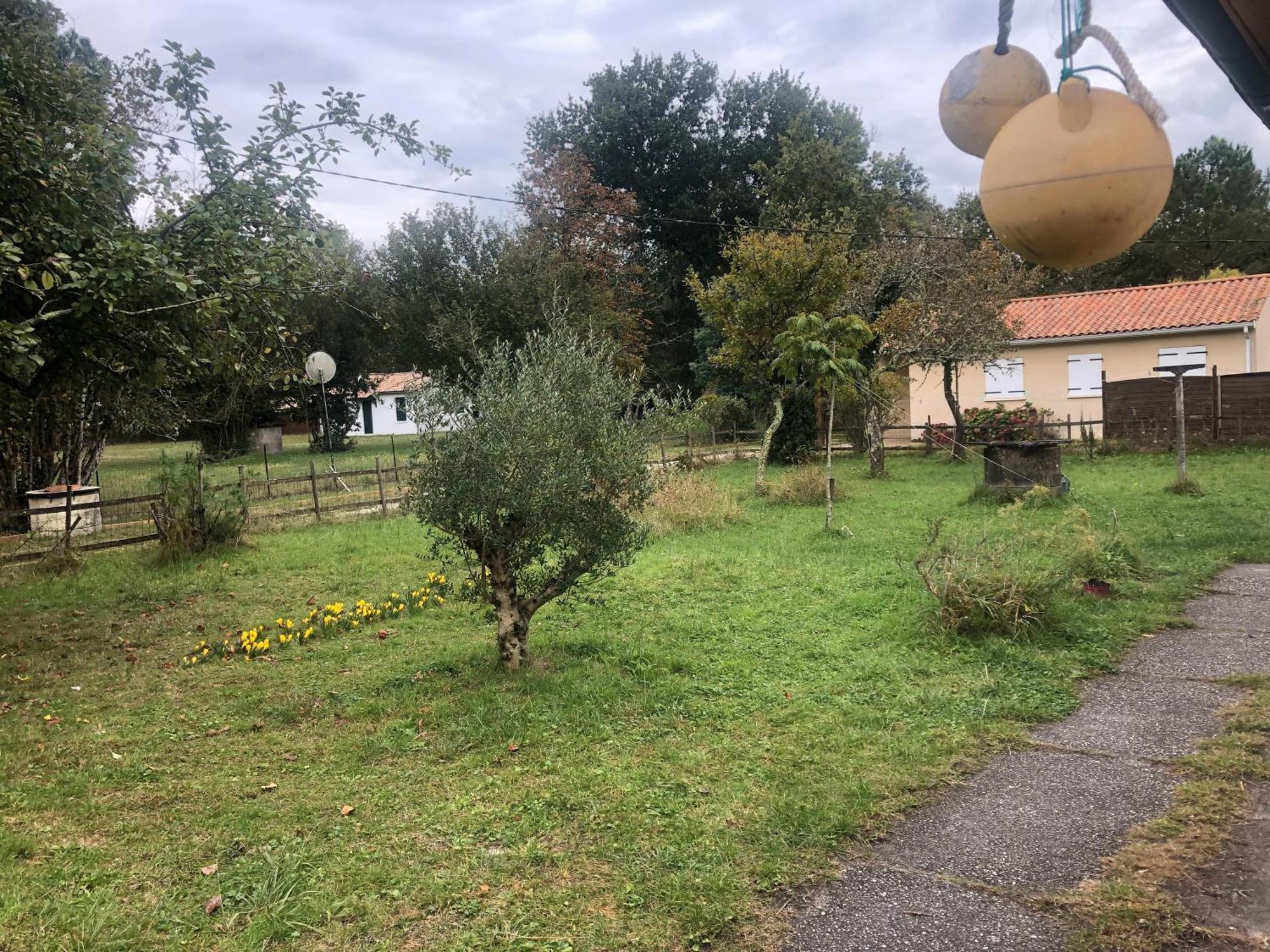 Petite Maison Rustique Et Atypique Hourtin Esterno foto
